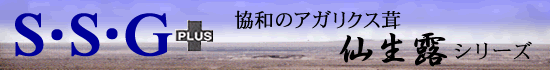 �G�X�E�G�X�E�W�[�v���X