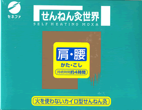 ����˂񋄐��E
